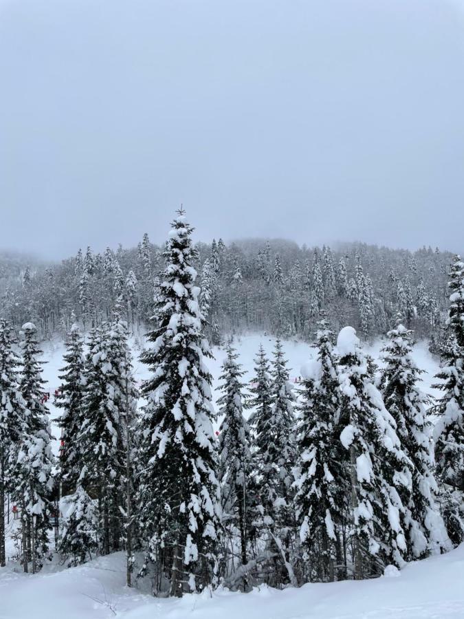 Wild Beauty Apartment-Modern Mountain 2 Колашин Екстер'єр фото